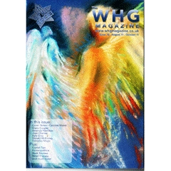 Picture of Bookcover Witch Hiker's Guide 2011