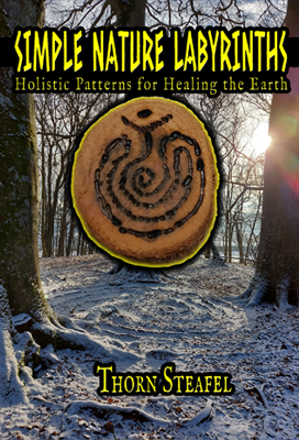 Cover of book