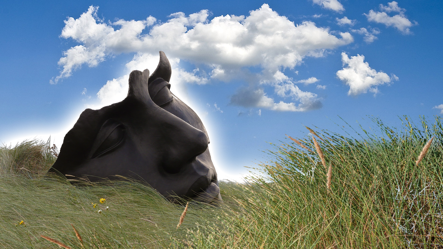 Picture of meditation