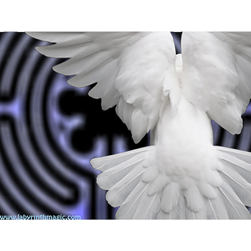 Picture of Dove desktop