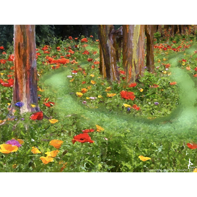 Picture of Flowers desktop