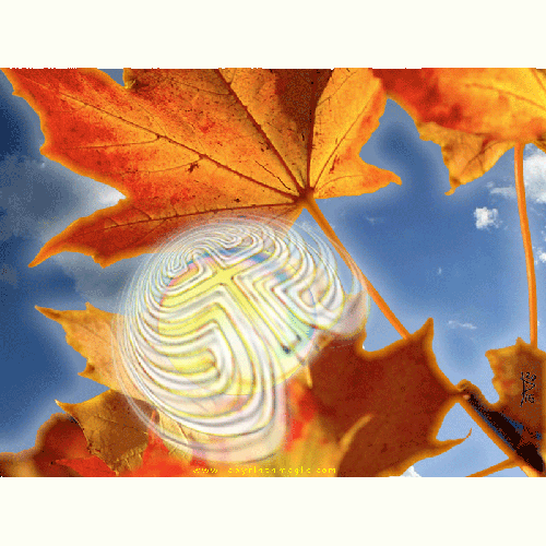 Picture of Leaves desktop