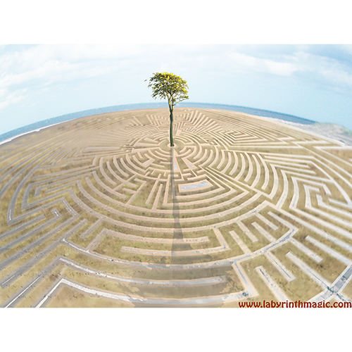 Picture of Tree desktop