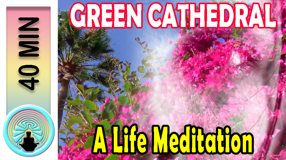 Picture of meditation thumbnail