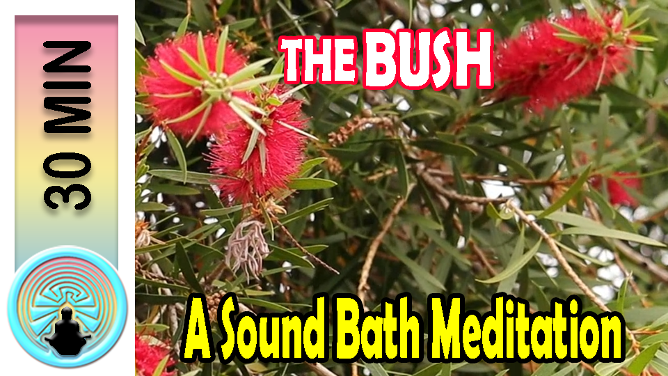 Picture of meditation thumbnail